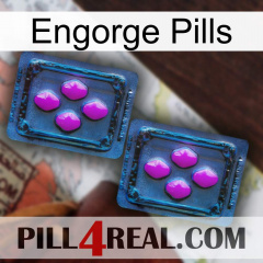 Engorge Pills 03